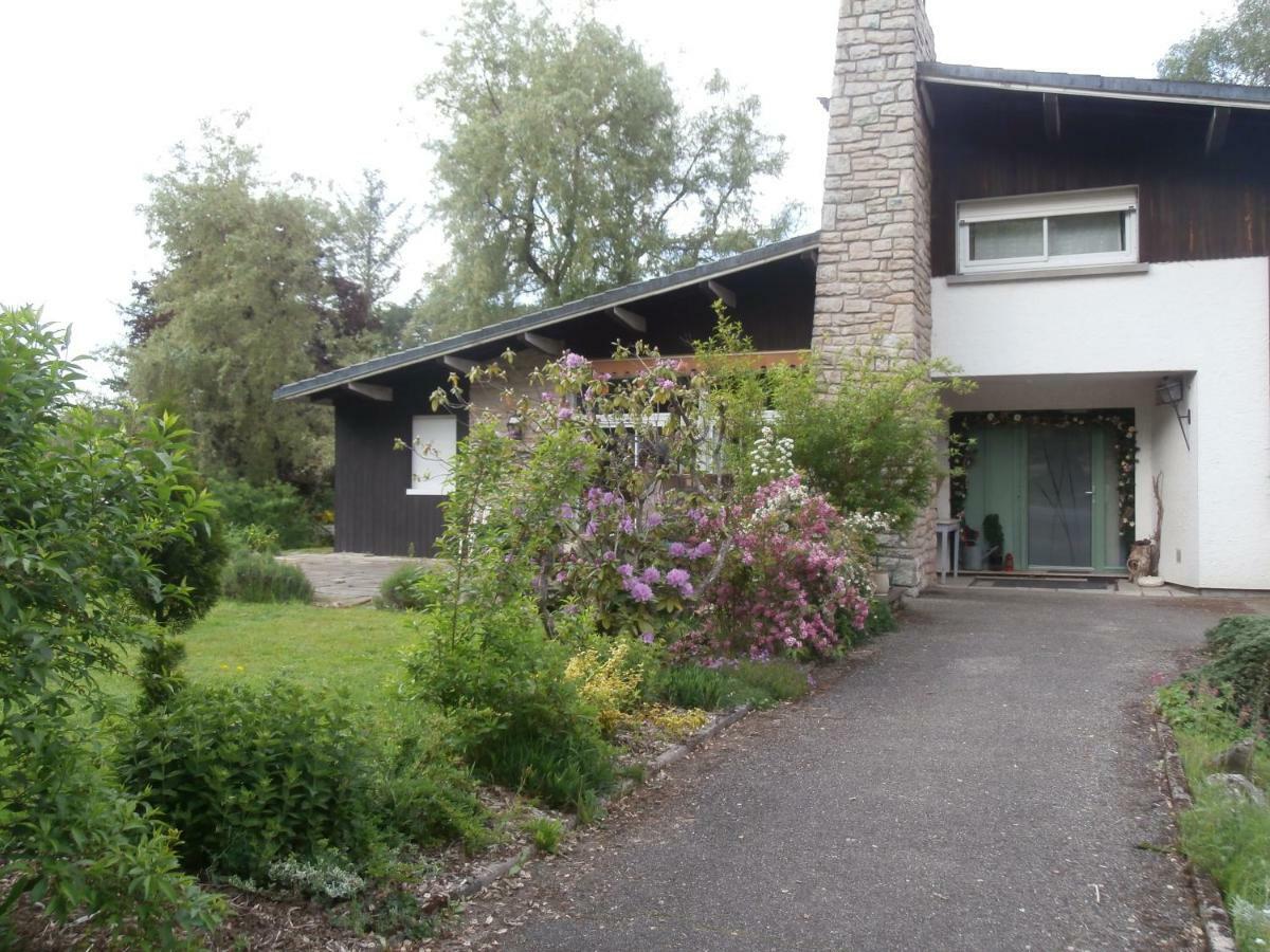 L'Echappee Belle A L'Etang D'Anty -Appartement Saint-Nabord Exterior foto